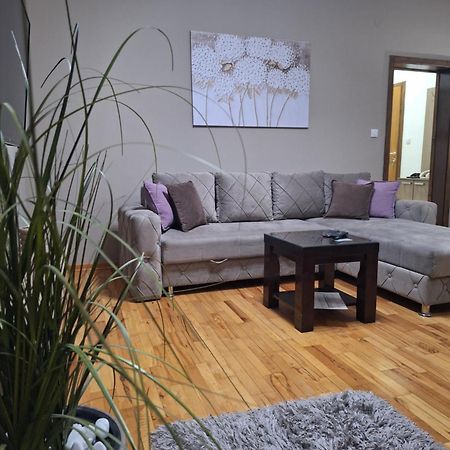 Apartmani Radulovic Vrnjačka Banja Rum bild