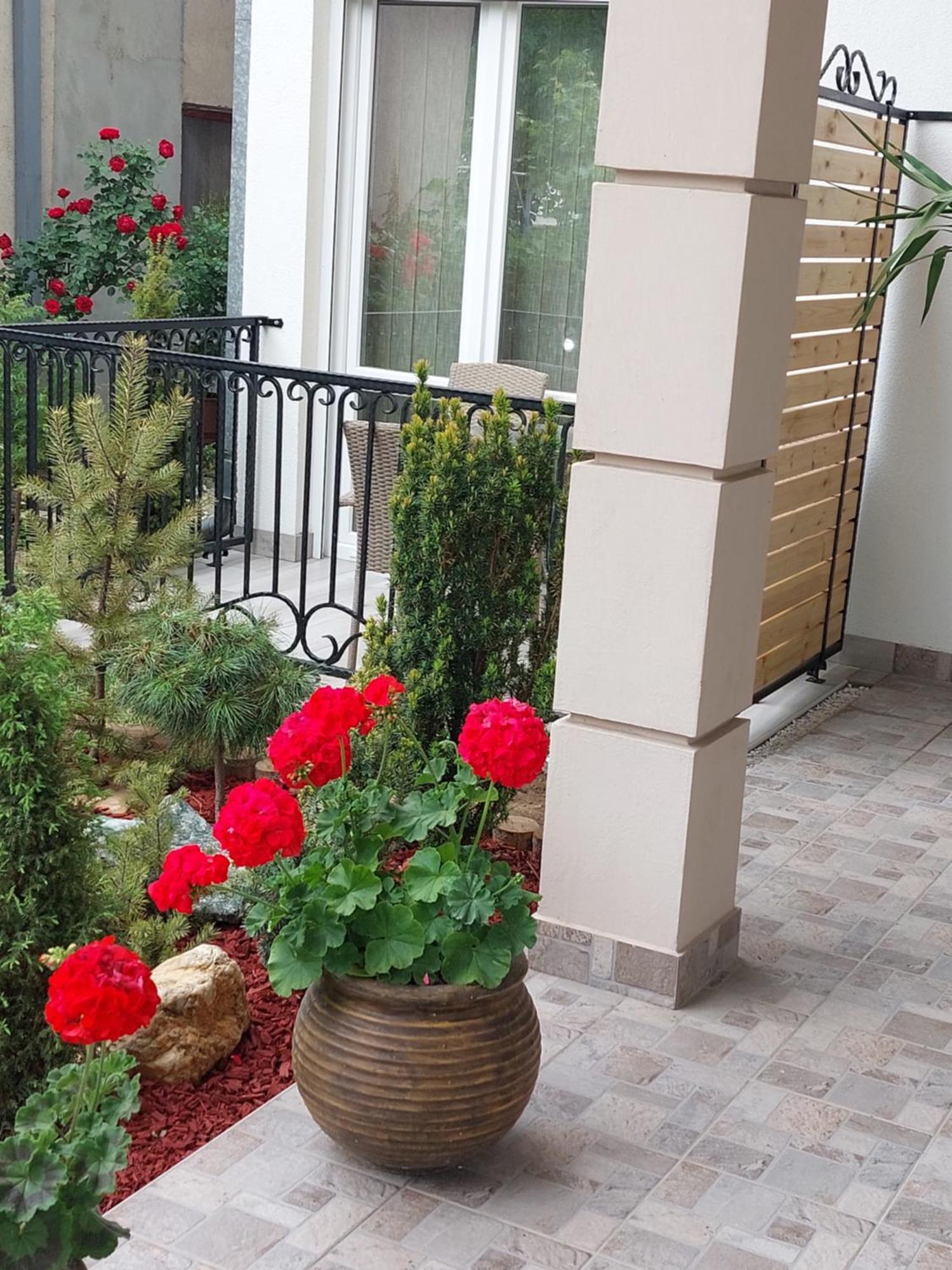 Apartmani Radulovic Vrnjačka Banja Rum bild