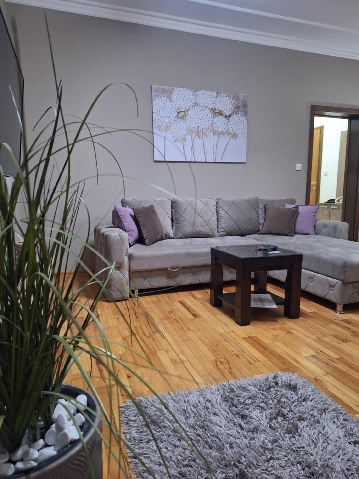 Apartmani Radulovic Vrnjačka Banja Rum bild