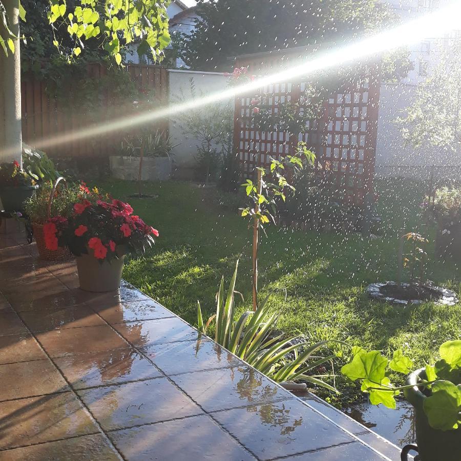 Apartmani Radulovic Vrnjačka Banja Exteriör bild